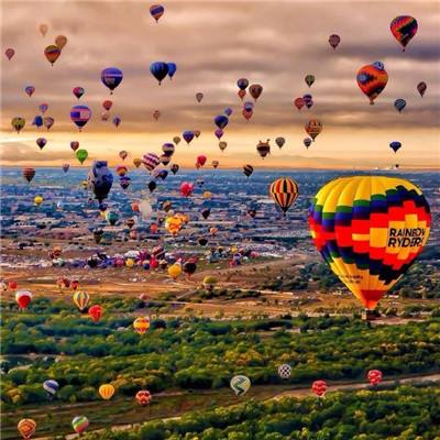 半岛综合app官网版登录截图