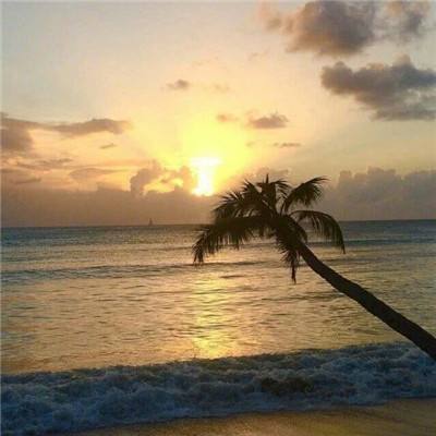 爱游体育APP官方入口