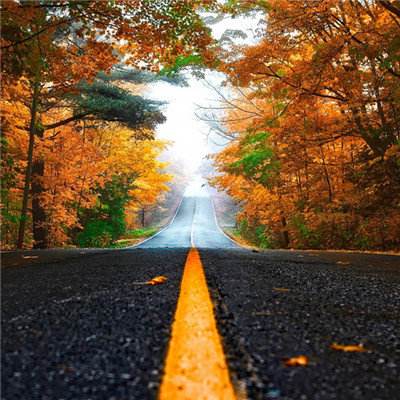 ManBetX手机网页版登录注册