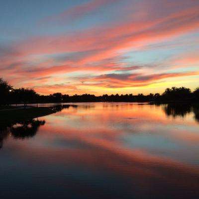 打鱼下载下载手机版