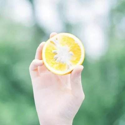 双彩网下载手机版