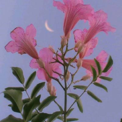 Kaiyun·开云体育