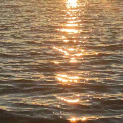 九游会存款优惠